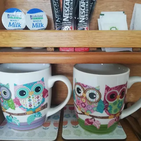 Bed & Breakfast O'sheas Ceol Na Habhann 4*