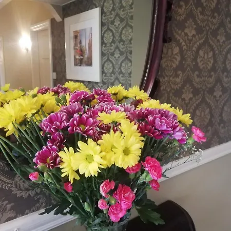 Bed & Breakfast O'sheas Ceol Na Habhann Kenmare