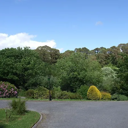 Bed & Breakfast O'sheas Ceol Na Habhann 4*