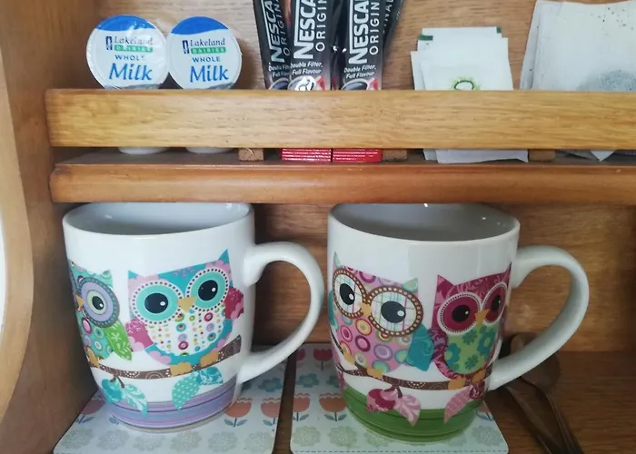 B&B O'sheas Ceol Na Habhann 4*