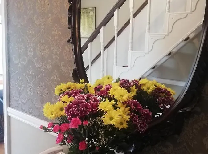 לינה וארוחת בוקר O'sheas Ceol Na Habhann