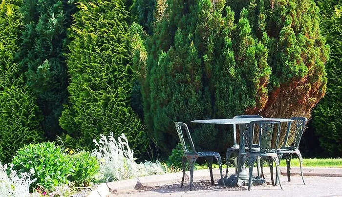 B&B O'sheas Ceol Na Habhann 4*